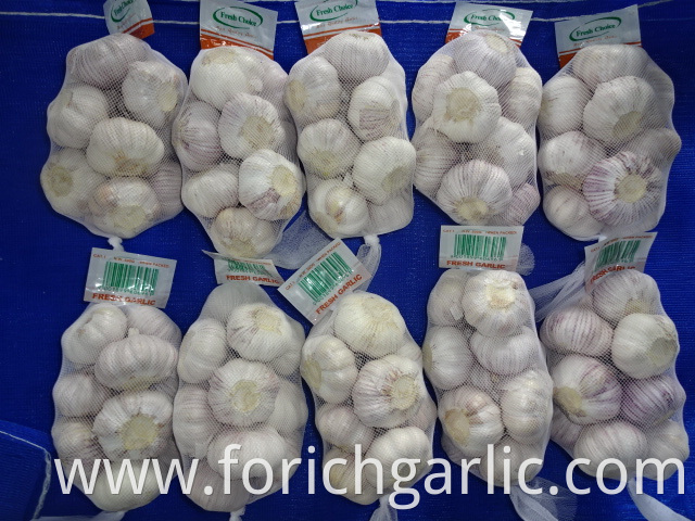 Jinxiang Normal White Garlic 2019